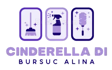 Synadyke impresa pulizia